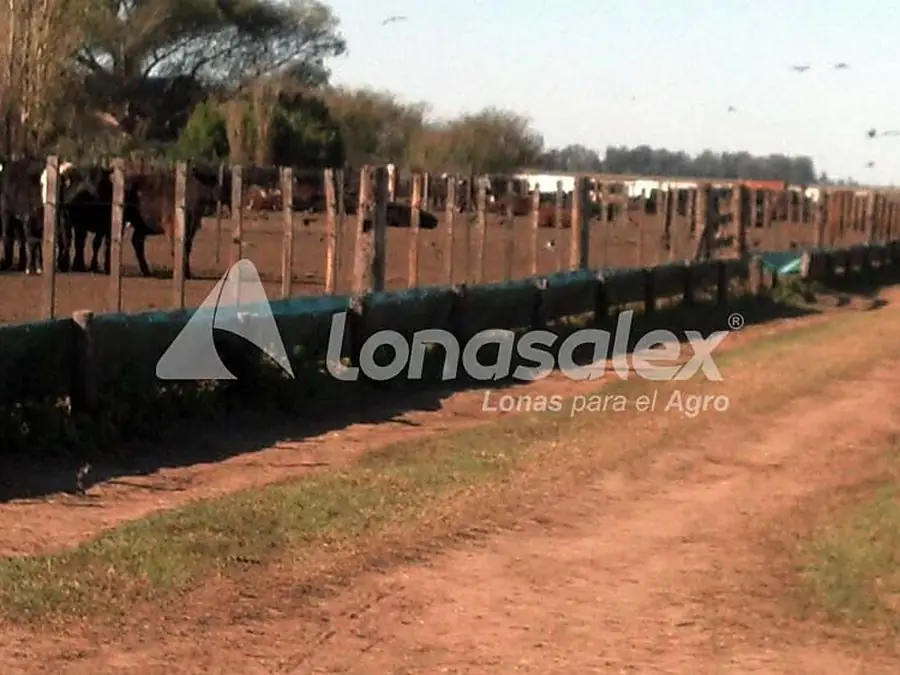 Comederos para hacienda