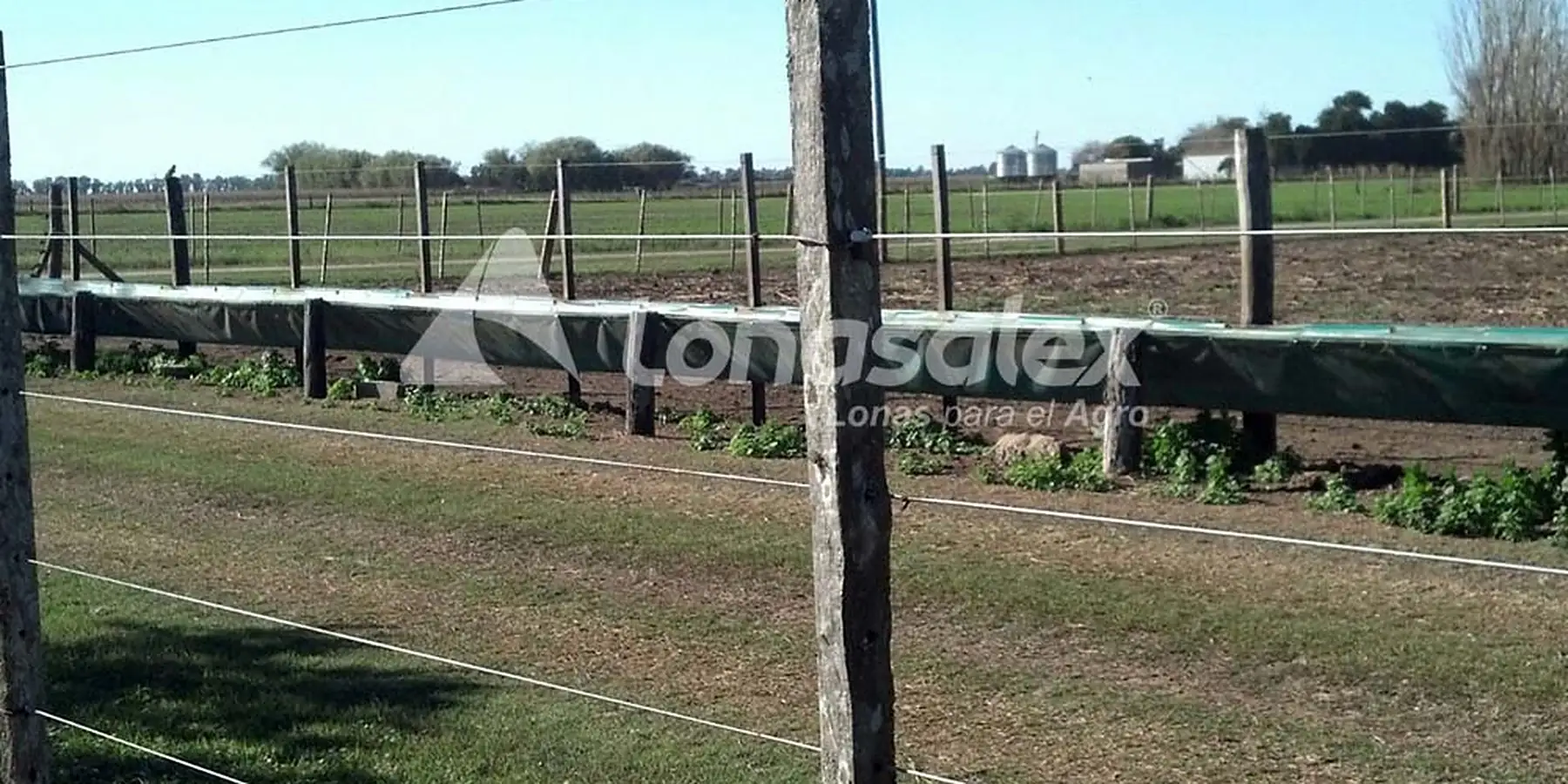 Comederos de lona en un feedlot