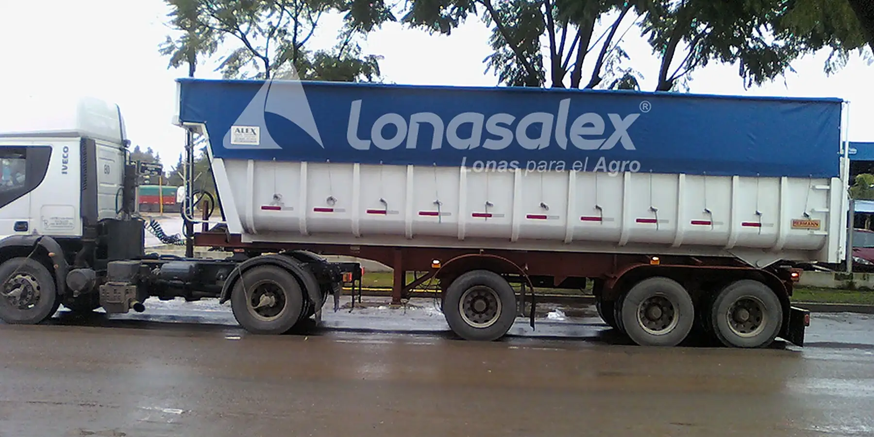 Nuestros productos